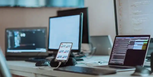 Software Developer