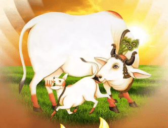 Vasubaras wishes